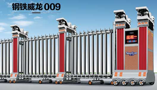 F009